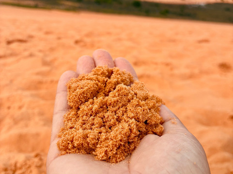 Jalapão FanTur-Palmas必去景点