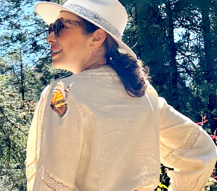 El Rosario Monarch Butterfly Preserve-中部墨西哥和墨西哥湾沿岸必去景点