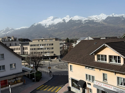 瓦度泽霍夫酒店主图