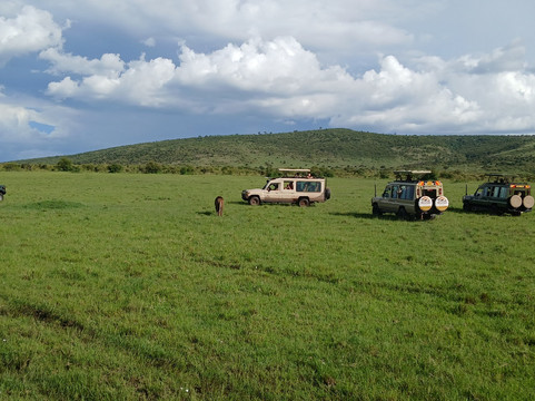 Flexivel Kenya Safaris-内罗毕必去景点