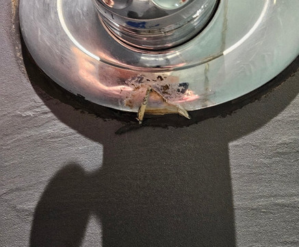 The Club and Spa-切斯特必去景点