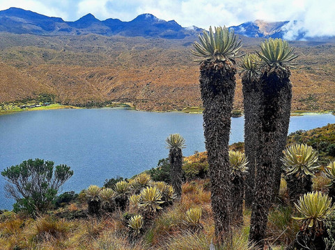Montanas Colombianas-佩雷拉必去景点