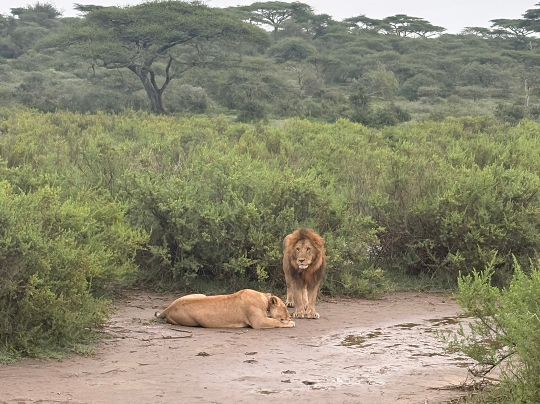 Mamnana Adventures-Olasiti必去景点
