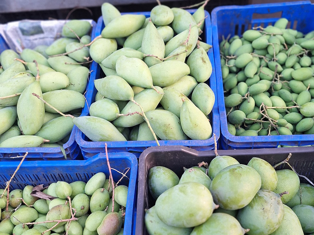 Vanakkam Madurai-马杜赖必去景点