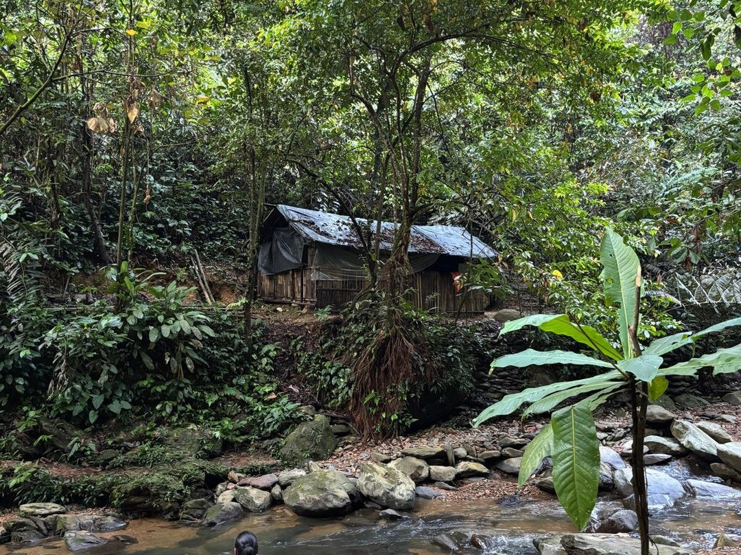 Trek of Sumatra-武吉拉旺必去景点