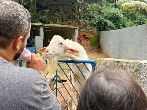 博南萨农场酒店主图