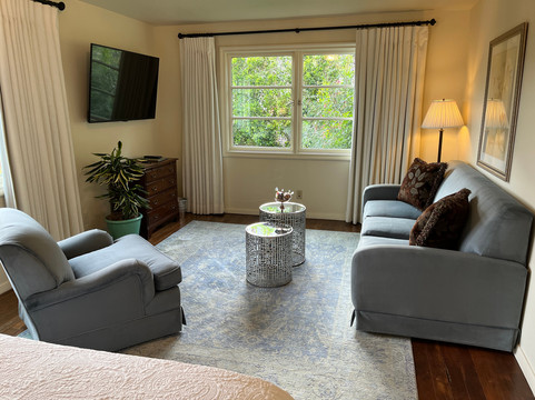 棕榈泉的柳树主图