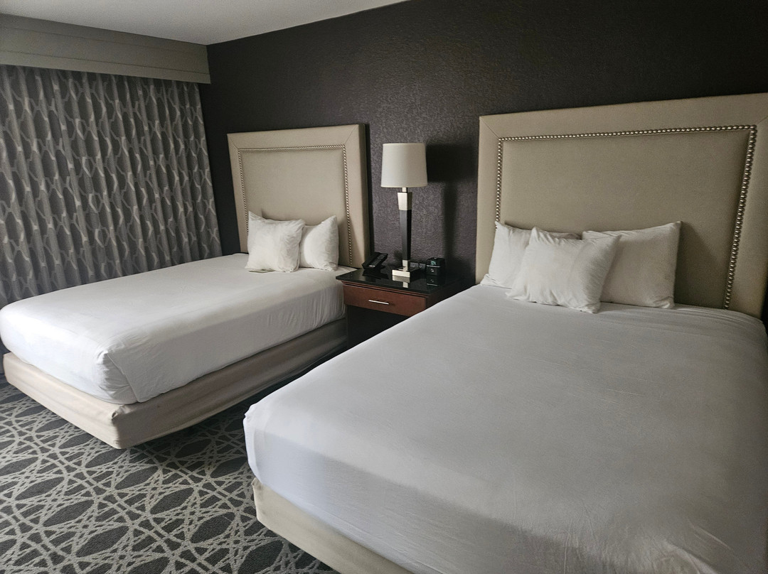 路易斯维尔德鲁里套房酒店主图