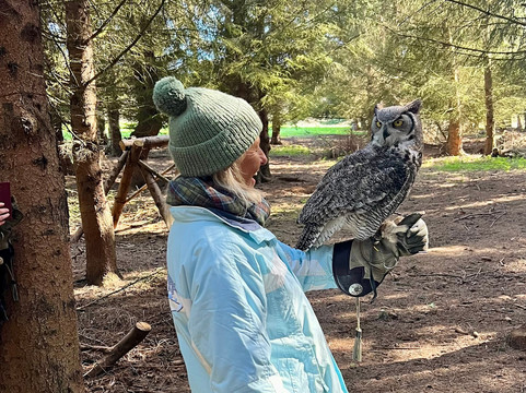 Bird on the Hand Falconry Experiences-Church Langton必去景点