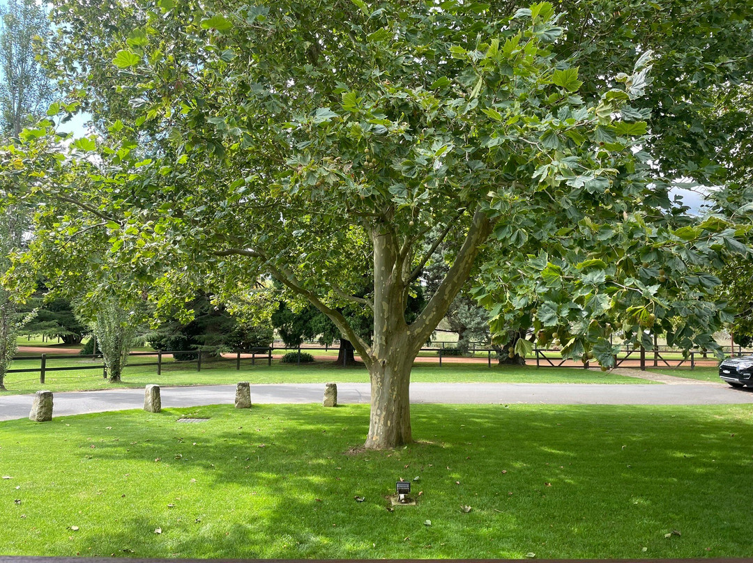 Bendooley Estate Book Barn-Berrima必去景点