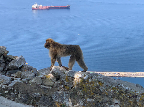 Gibraltar Point National Nature Reserve-斯凯格内斯必去景点