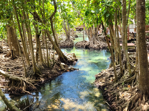 Thapom Klong Song Nam-甲米府必去景点