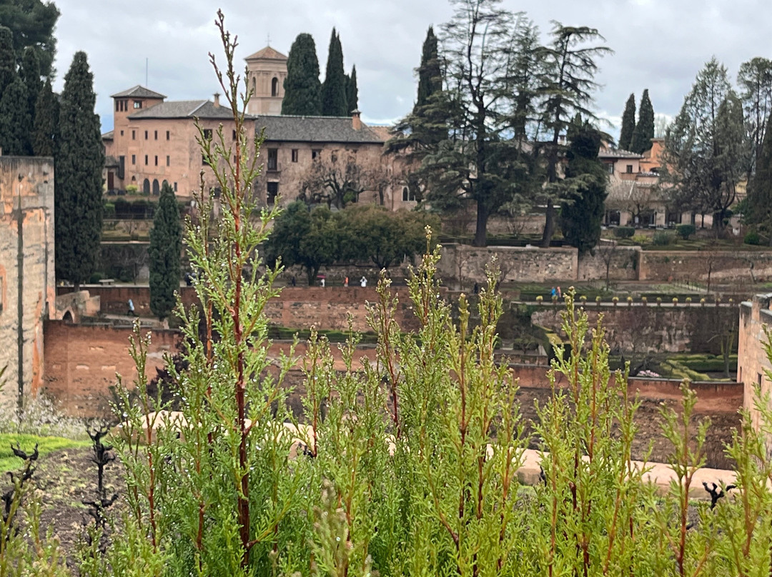 Tour Andalucia-马拉加必去景点