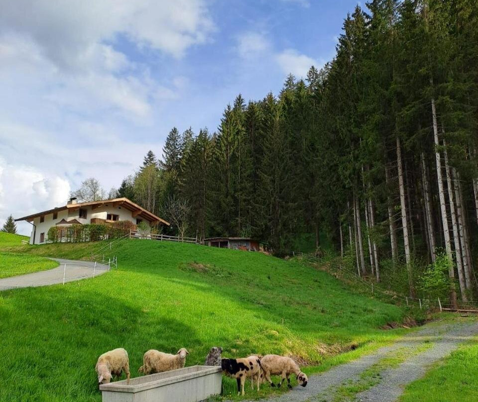 Ferienhaus Hansl