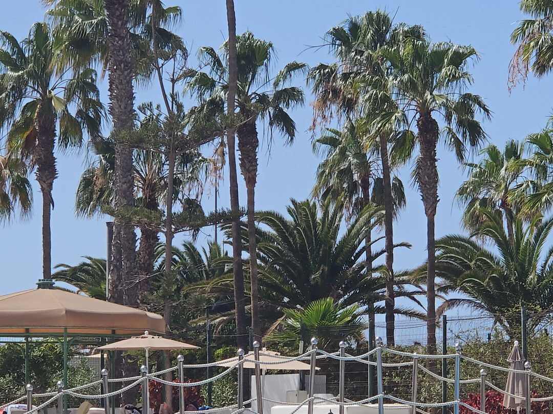 Altamira Apartments主图