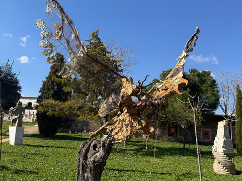 El Pozo Los Lagartos-孔苏埃格拉必去景点