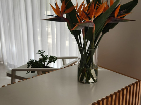 金塔多斯香水住宿加早餐旅馆主图