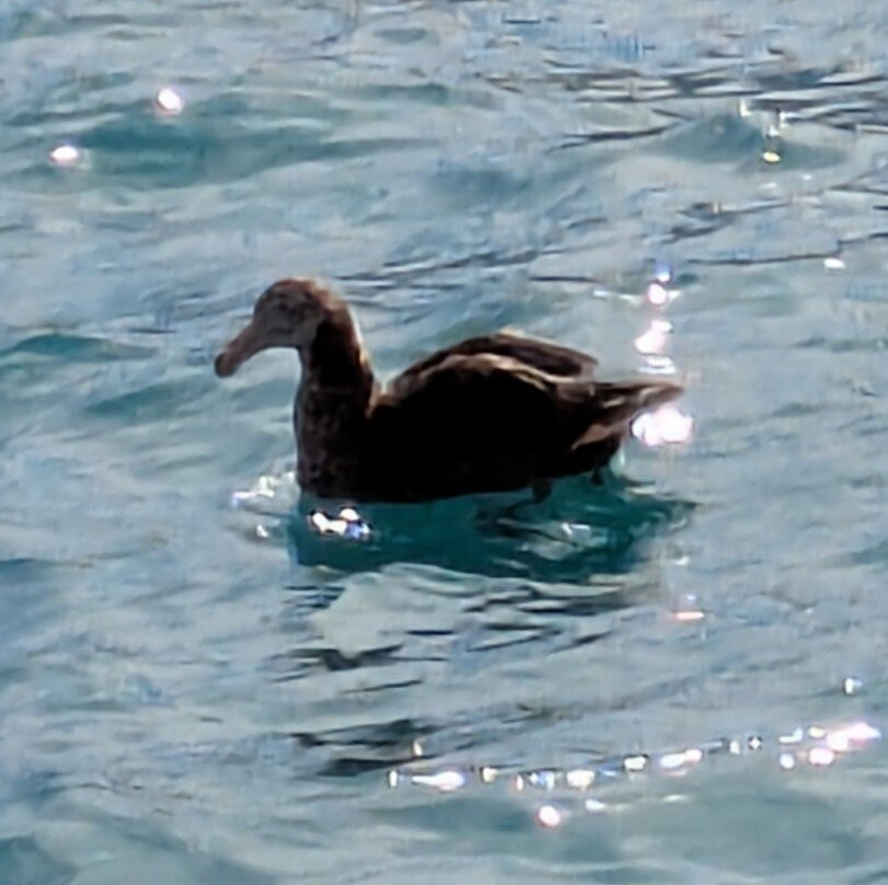 Coast Up Close-阿卡罗阿必去景点