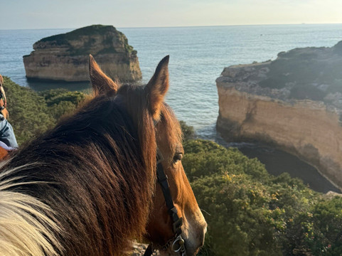 Solid Rocks Algarve Horse Trail Adventures-Porches必去景点