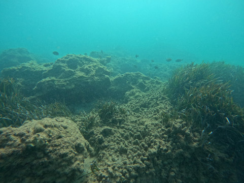 Coral Diving Crete-Anissaras必去景点