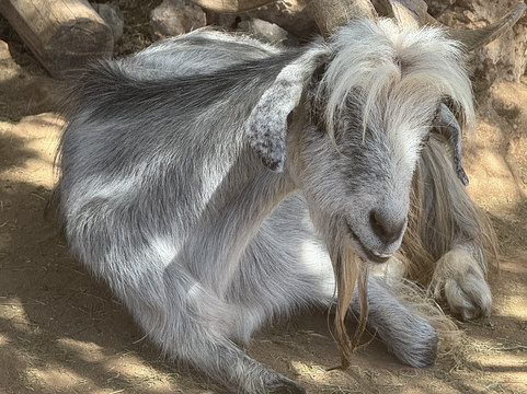 Viveiro, Botanical Garden & Zoo di Terra-圣塔玛丽亚必去景点