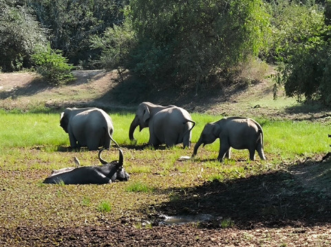Freedom Safari Jeep Tours-蒂瑟默哈拉默必去景点
