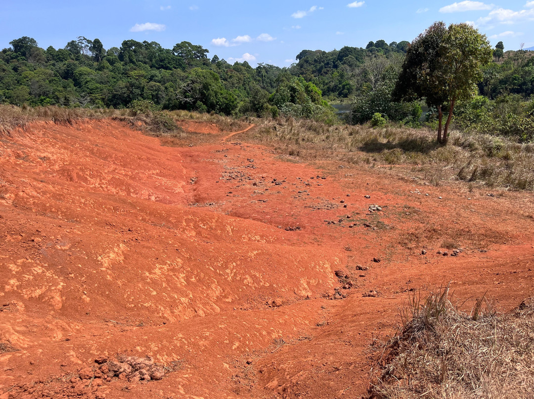 Bobby's Jungle Tours-北冲县必去景点