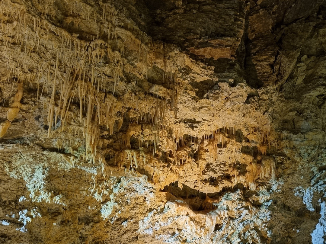 Maori Leap Cave-Kaikoura必去景点