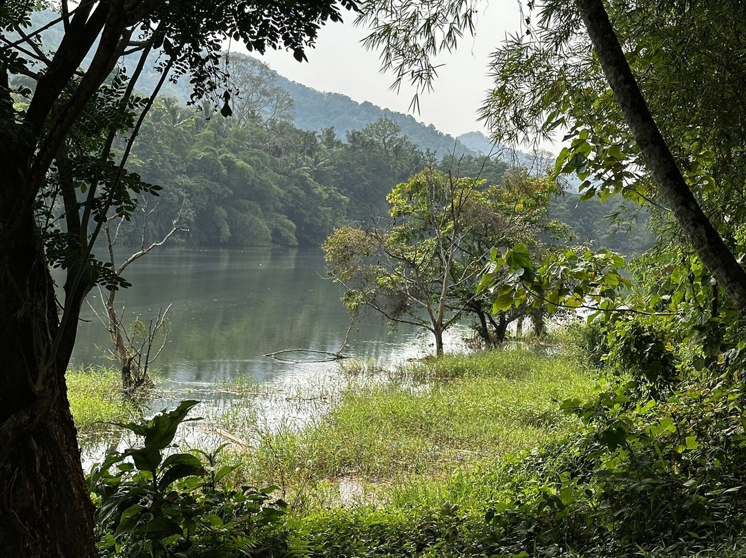 温德米尔河之家旅馆主图