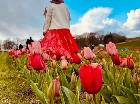 Tulleys-Turners Hill必去景点