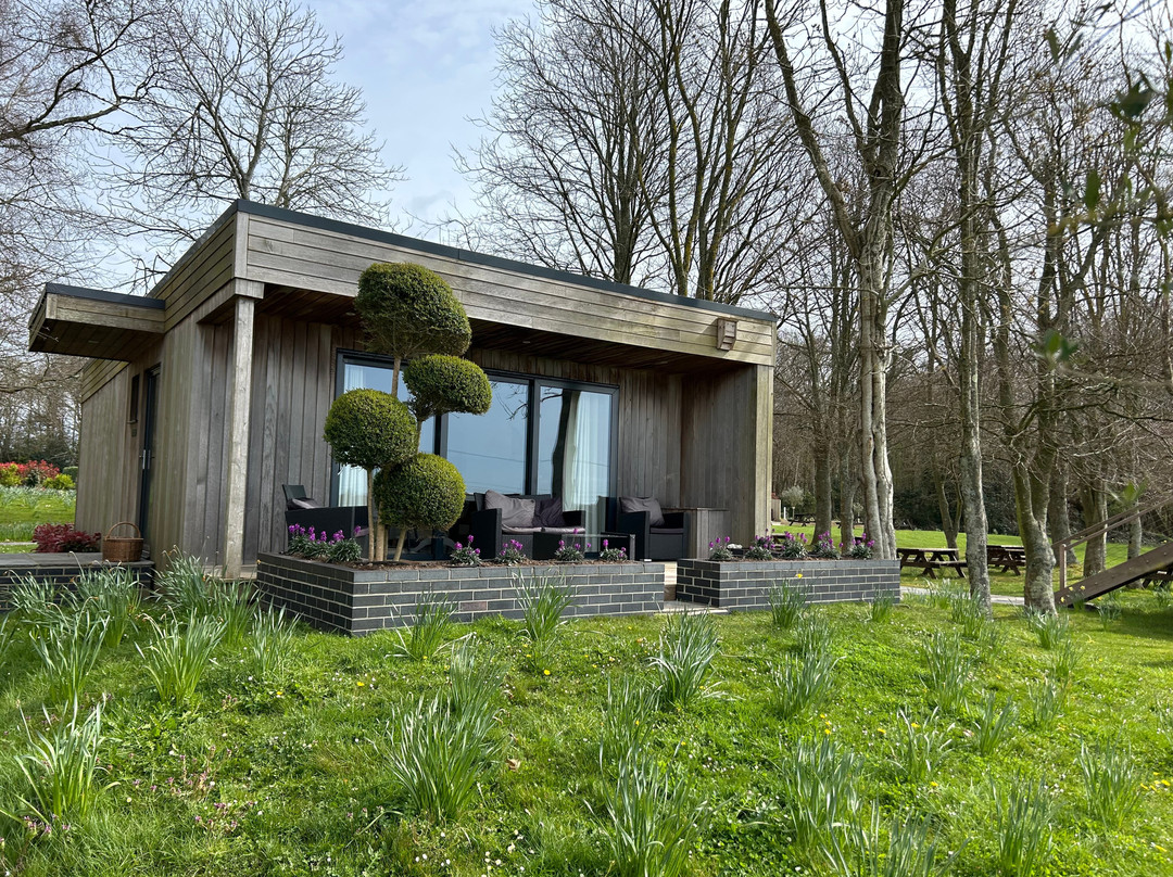 Tinwood Estate Vineyard-奇切斯特必去景点