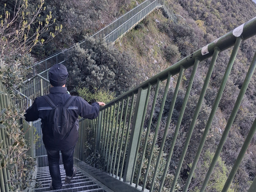 Sentiero panoramico Busatte Tempesta-托尔博莱必去景点