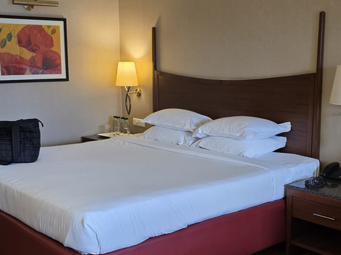 卡尔顿酒店主图