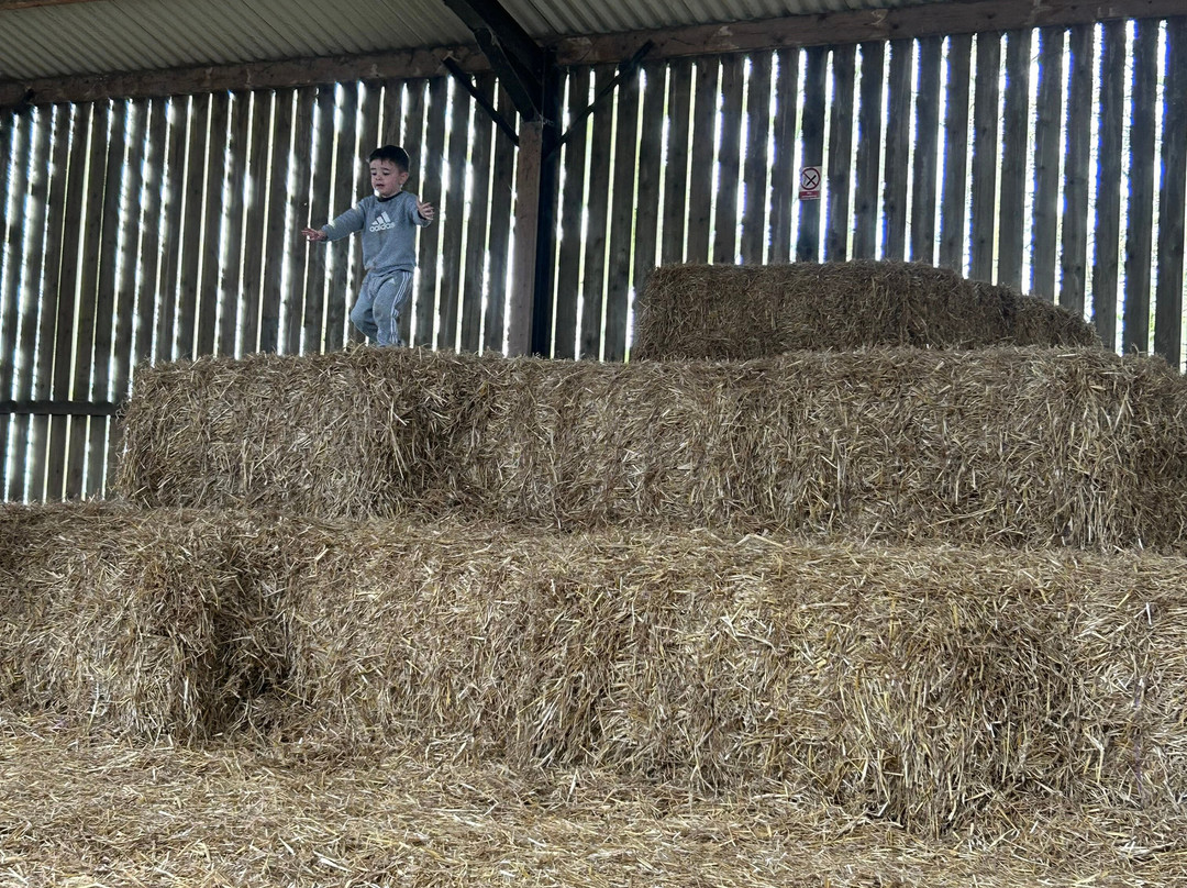 Playdale Farm Park-斯卡伯勒必去景点