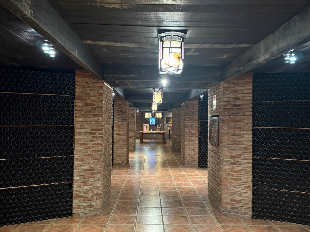 Bodegas Ontañón, El Templo del Vino-洛格罗尼奥必去景点