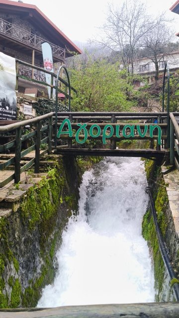 阿西米纳旅馆-官方