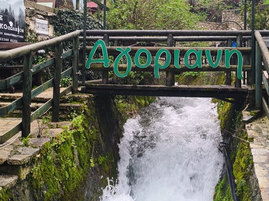 阿西米纳旅馆主图