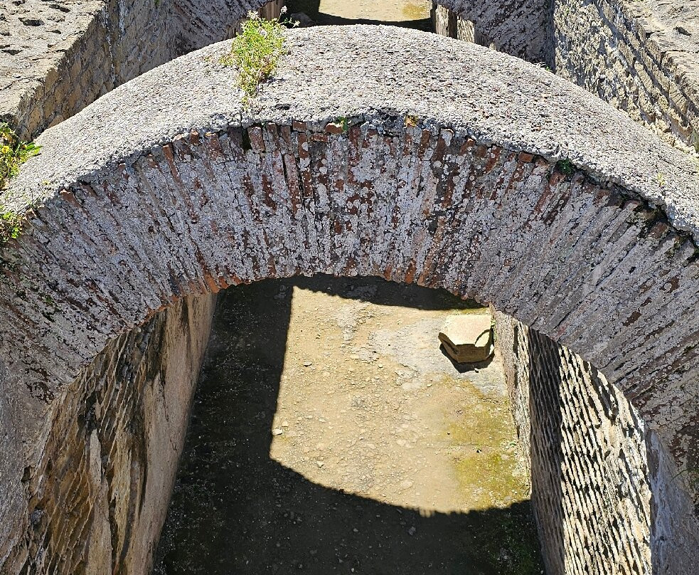 Parco Archeologico delle Terme di Baia-Bacoli必去景点