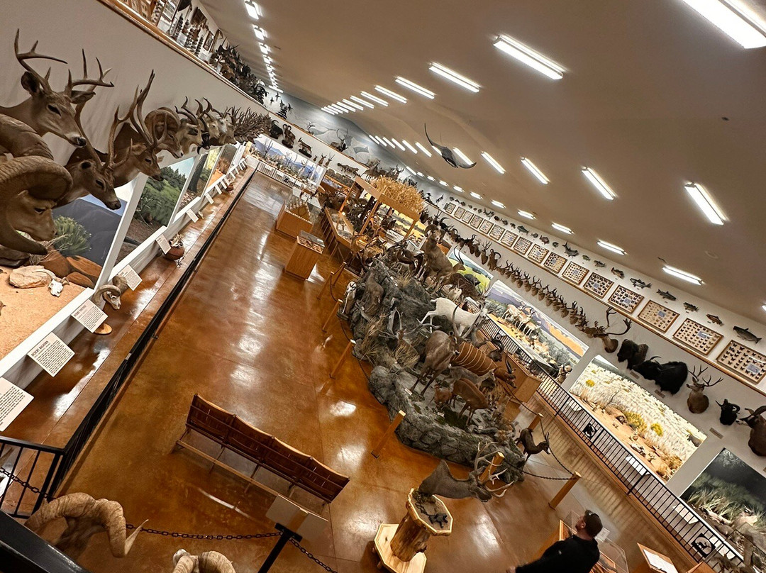 Bryce Wildlife Adventure-布莱斯必去景点