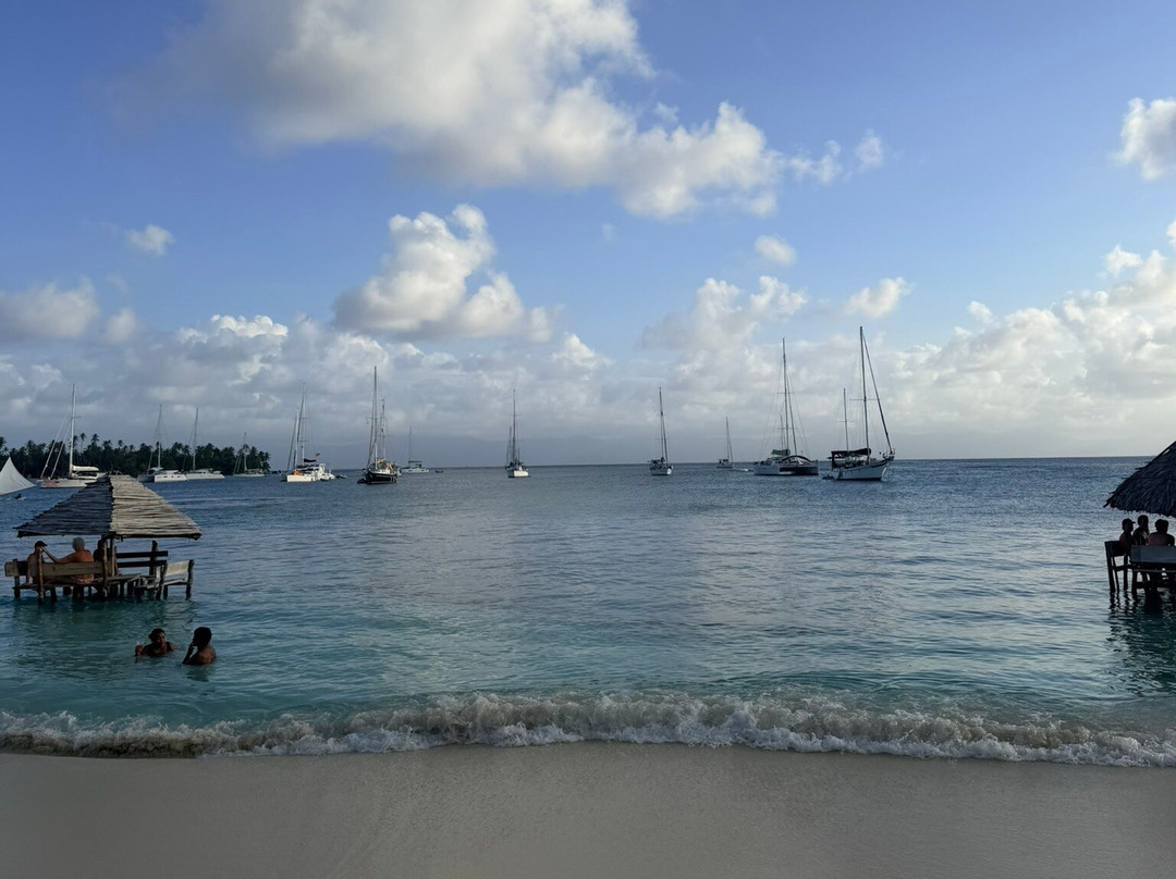 Flying Ginny Catamaran Charter-埃尔波韦尼尔必去景点
