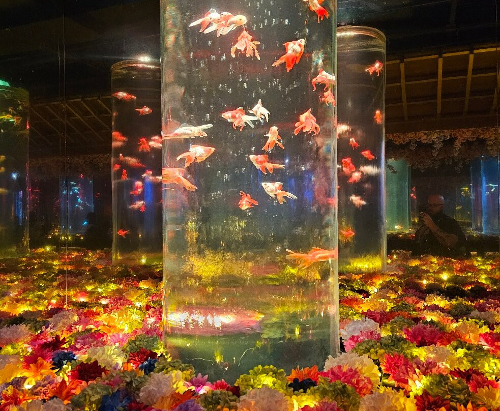 Art Aquarium-Ginza必去景点