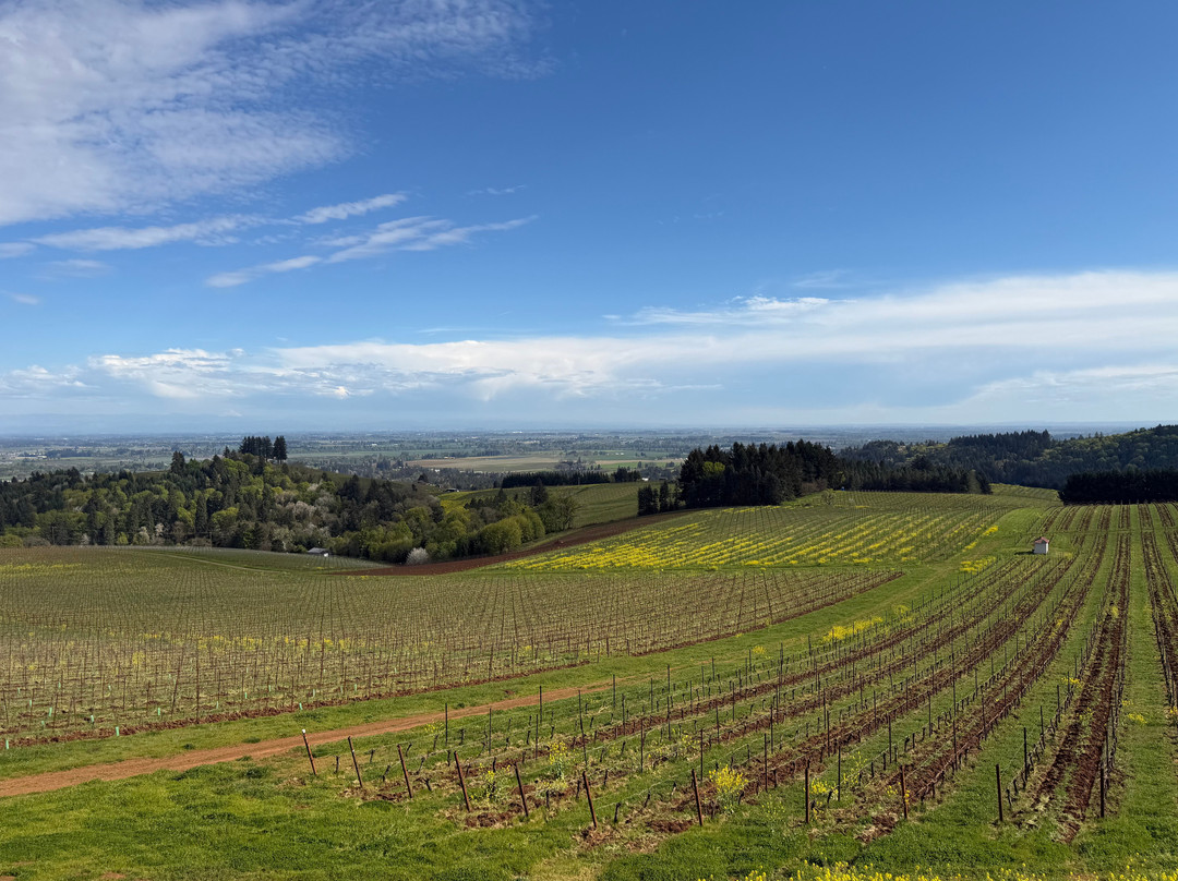The Four Graces Winery-Dundee必去景点