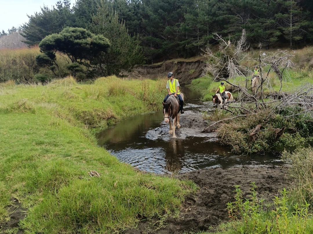 Muriwai Beach Horse Treks-穆里怀海滩必去景点