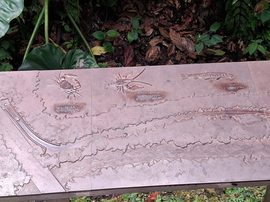 Le SDG - Cascade-Fonds Saint Denis必去景点