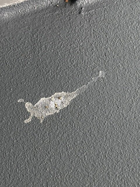 迈阿密阳光岛滩居家旅馆-旅行者