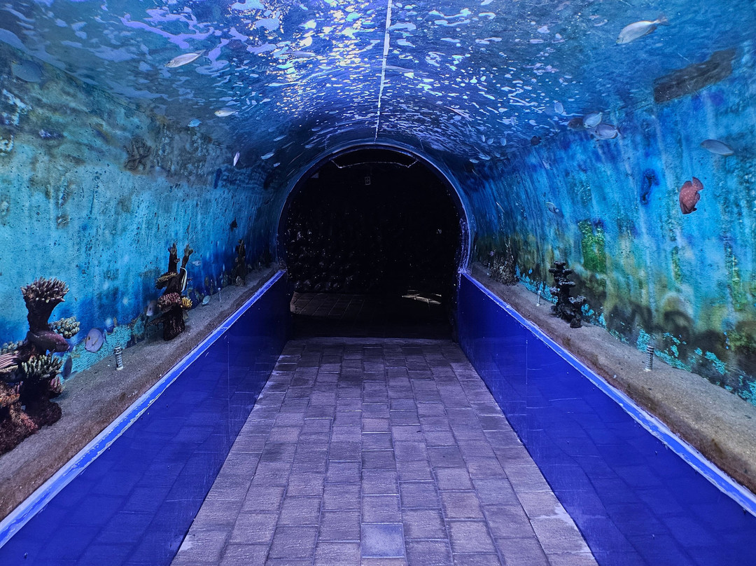 Lokaranjan Aqua World Underwater Zoo-迈索尔必去景点
