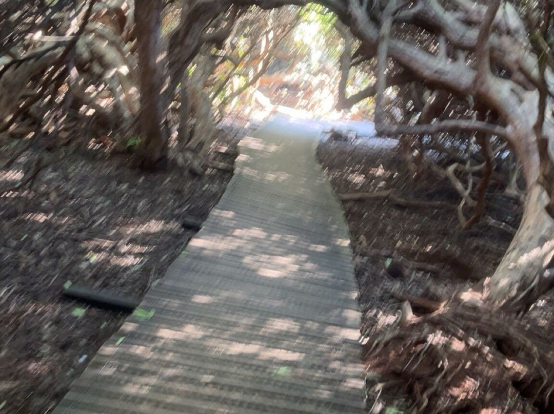 Beacon Hill Country Park-拉夫堡必去景点