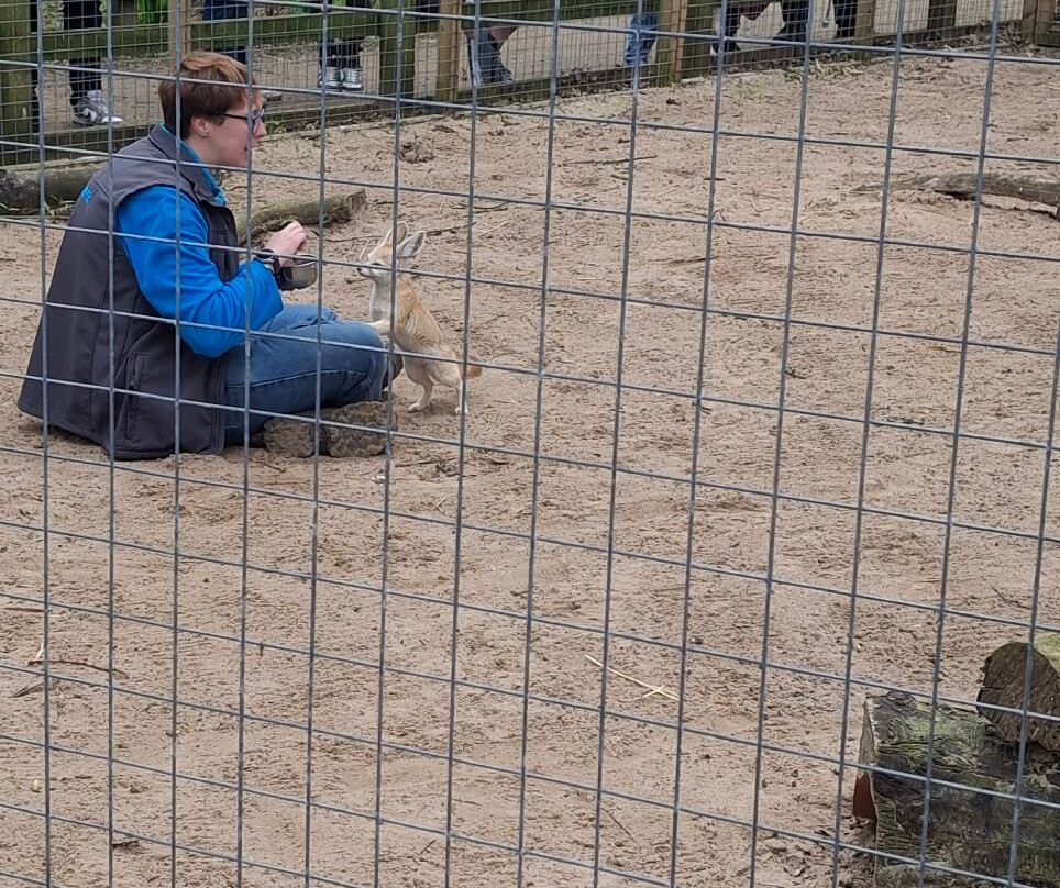 Bridlington Animal Park-布里德灵顿必去景点