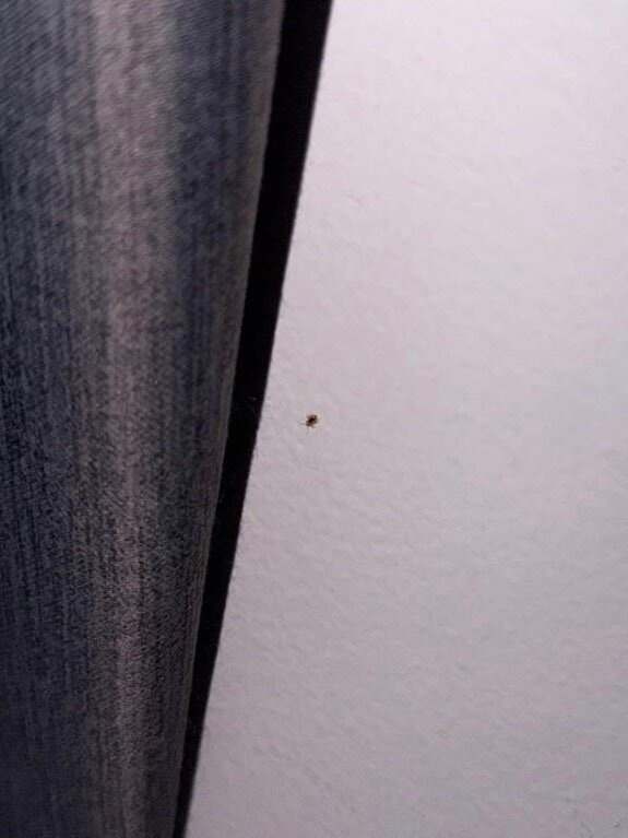 布里斯班北部舒适酒店主图