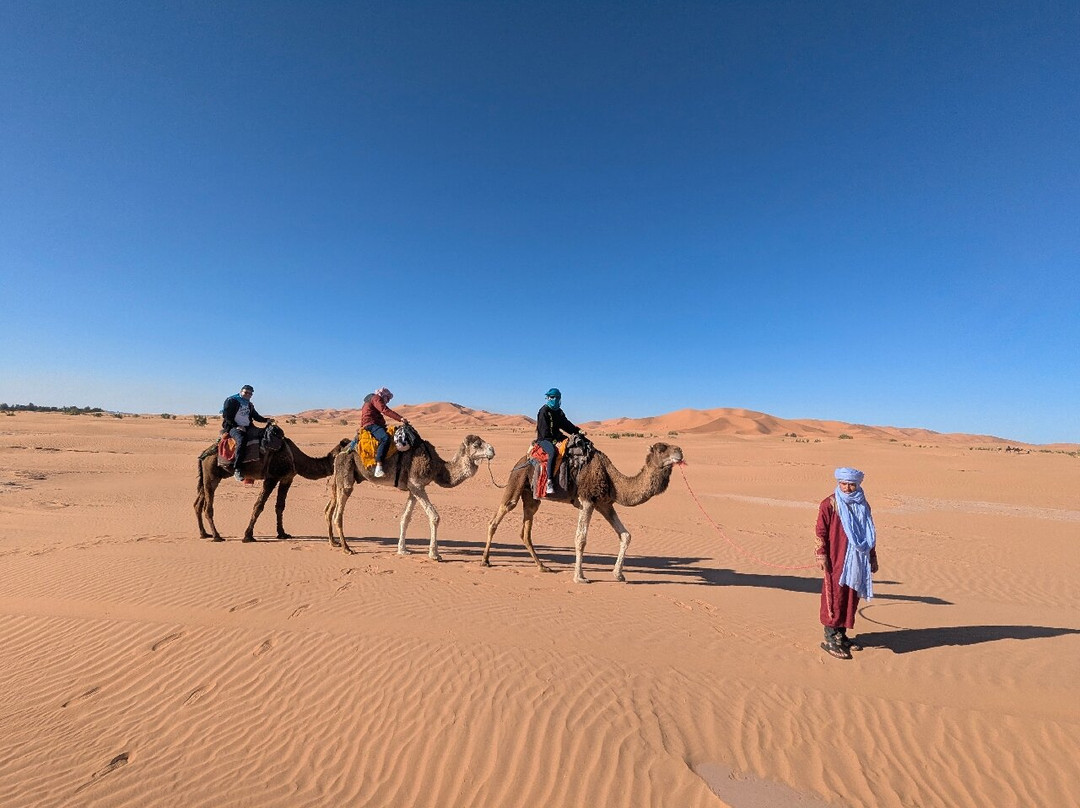 Camel Ride Trips-非斯必去景点